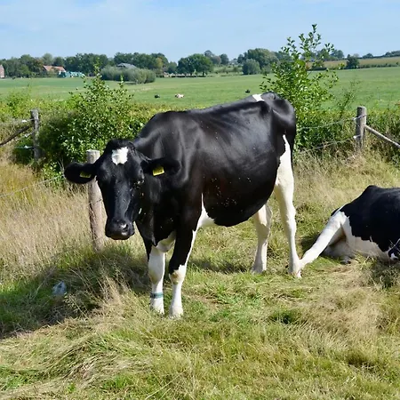 De Auw Sjoekelaatfabriek Frühstückspension 4*