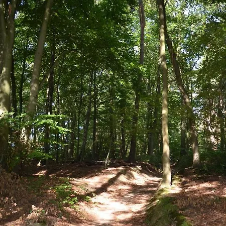 드 오우 시우클라트파브리크 B&B 굴펜