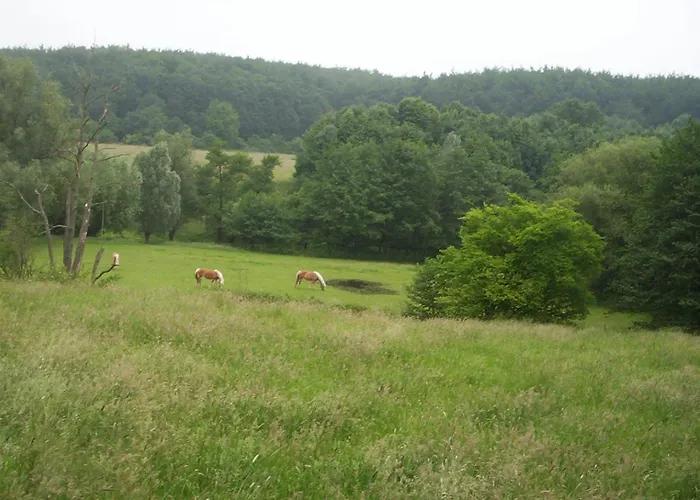 فندق مبيت وإفطار De Auw Sjoekelaatfabriek غولبين