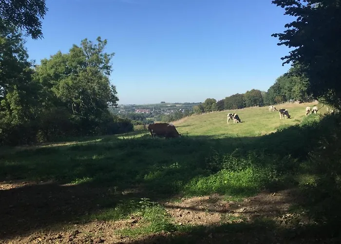 فندق مبيت وإفطار De Auw Sjoekelaatfabriek غولبين