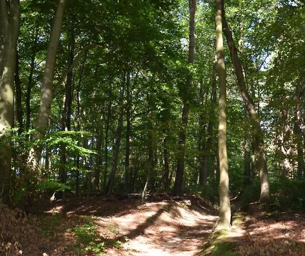 De Auw Sjoekelaatfabriek فندق مبيت وإفطار غولبين