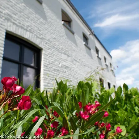 德奥索克拉特法布里克公寓 4*