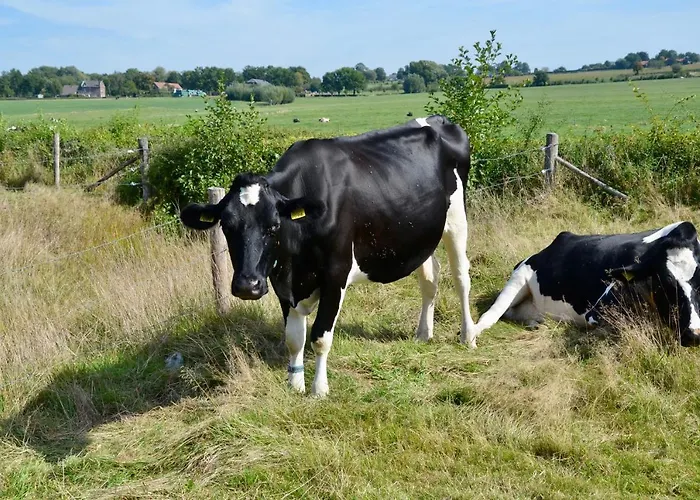 De Auw Sjoekelaatfabriek Bed & Breakfast 4*